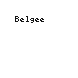 Belgee Belgee